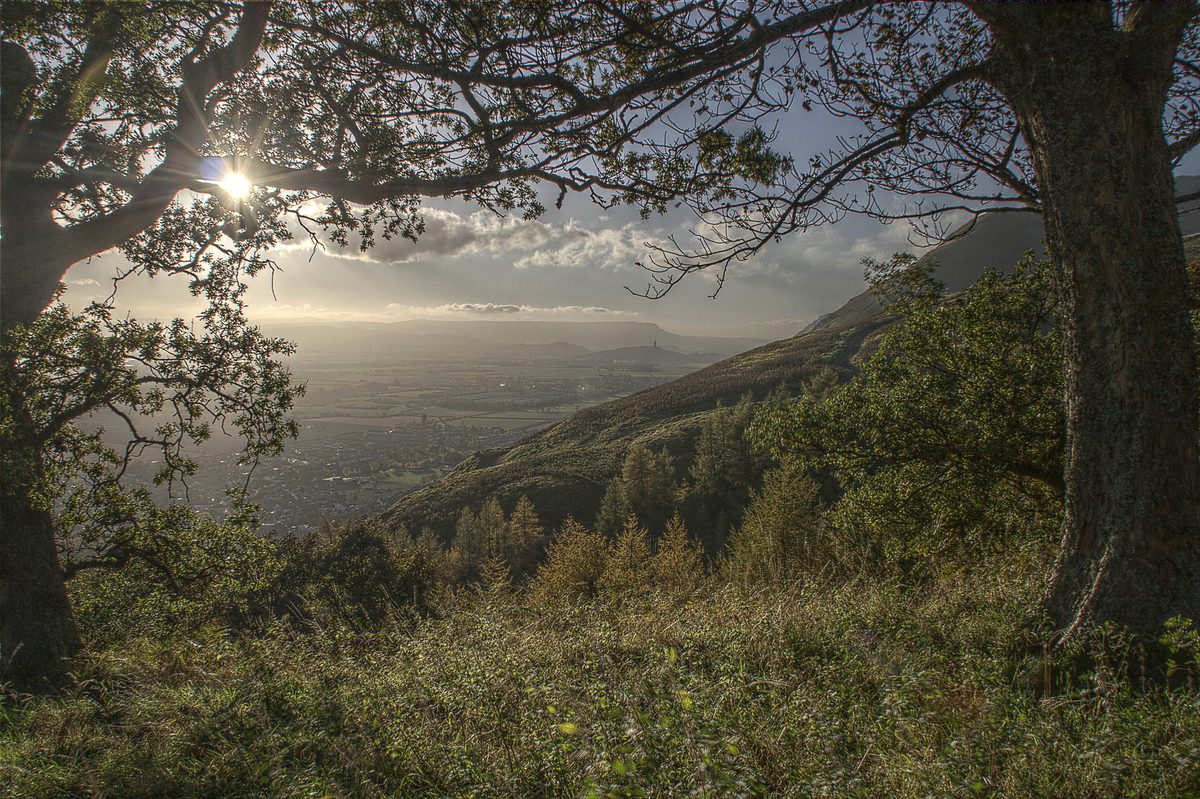 Forth Valley from the Ochils